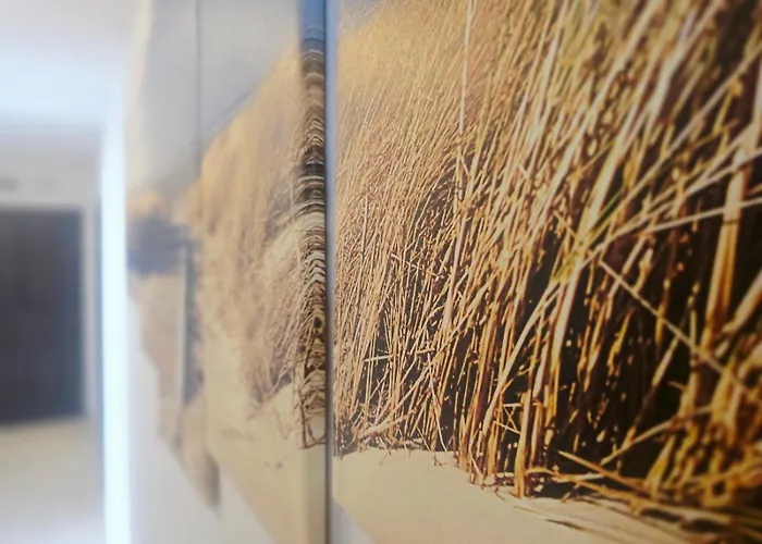 Lido By Baltic Club דירה סרבינובו